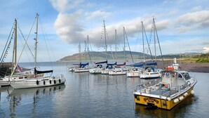 Un port de plaisance où sont amarrés différents types de bateaux, avec une eau calme et un paysage vallonné en arrière-plan.