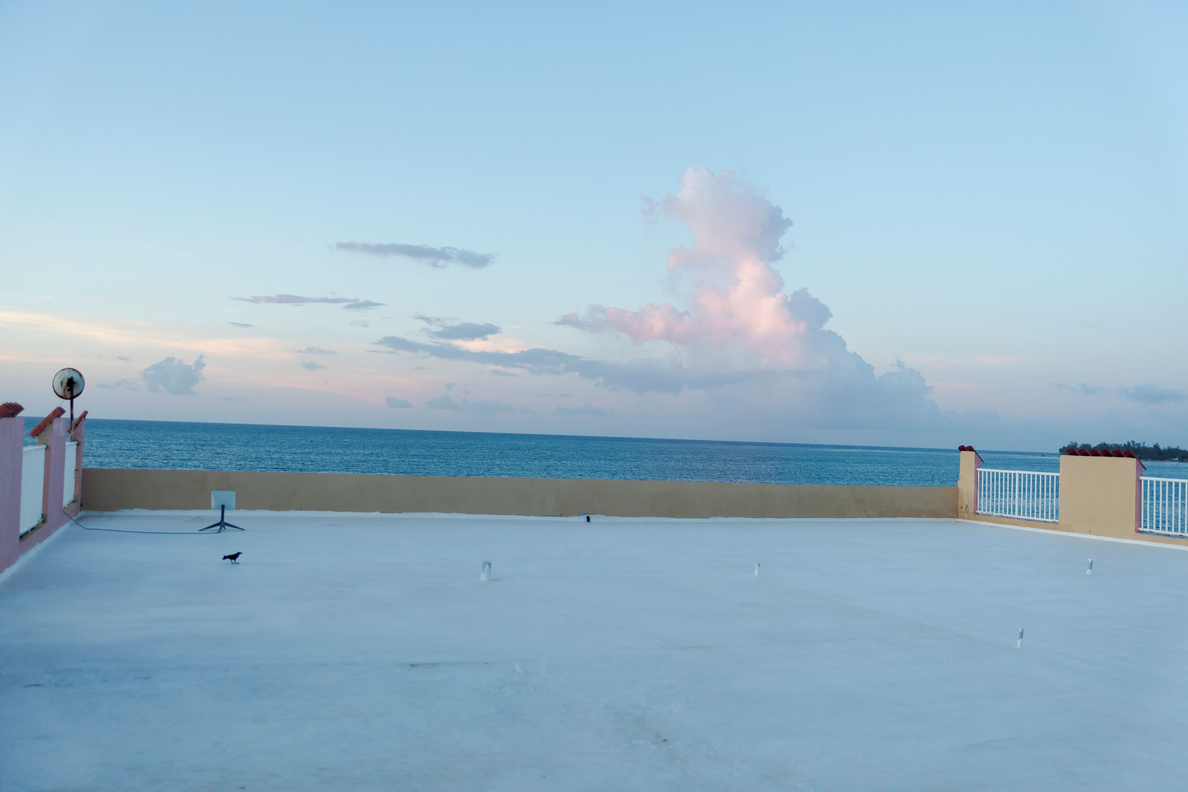 A rooftop terrace with a view of the sea, a white railing, and a few birds.