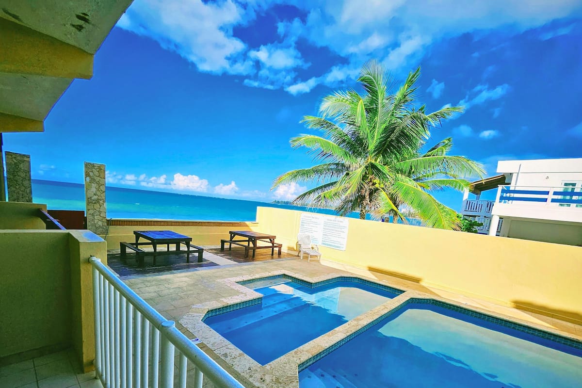 A rooftop pool area with a view of the ocean and a palm tree.