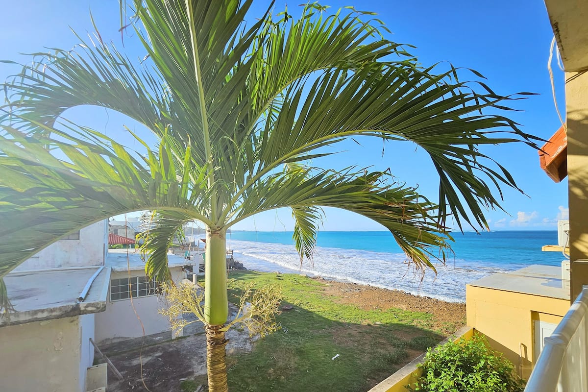 A view of a beach with palm trees and a clear sky.