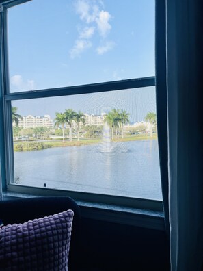 Interior - Cozy, beautiful, relaxing, modern condo in the Heart of Tampa Bay. (Clearwater)