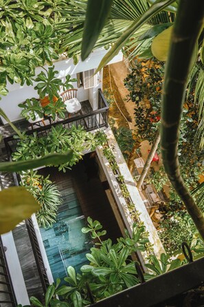 Terrain de l’hébergement 