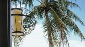 Vista a través de una ventana con una palmera alta, una lámpara colgante y abundante follaje.