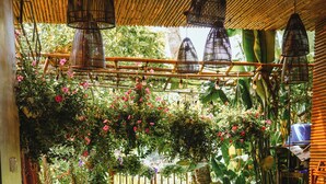 Una terraza de madera con dos sillones de descanso, techo de bambú y exuberante jardín de fondo.