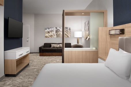 1 bedroom, premium bedding, desk, laptop workspace. Springhill Suites By Marriott Fayetteville I 95
