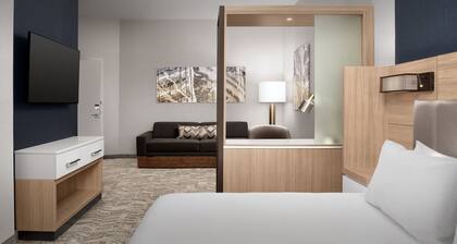 Springhill Suites By Marriott Fayetteville I 95