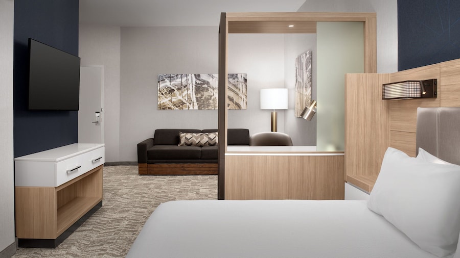 Springhill Suites By Marriott Fayetteville I 95