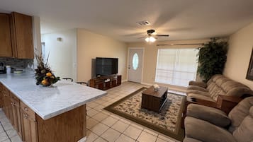 Smart TV, fireplace, books