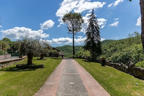 Un sendero que lleva a un edificio con un muro de piedra a un lado y un gran árbol al otro.