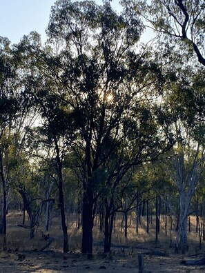 Área da propriedade