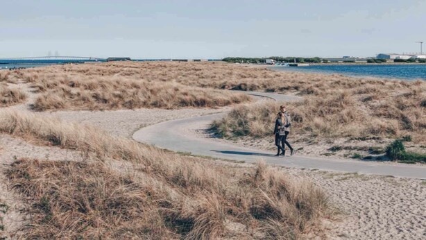 A pathway curving through a dry, grassy landscape with a body of water and industrial structures in the background. - South Studios by Daniel & Jacob's (København)