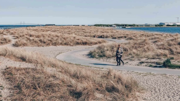 A pathway curving through a dry, grassy landscape with a body of water and industrial structures in the background. - South Studios by Daniel & Jacob's (København)