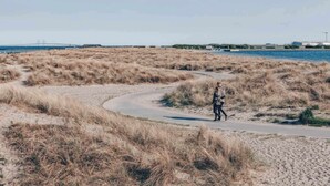 A pathway curving through a dry, grassy landscape with a body of water and industrial structures in the background.
