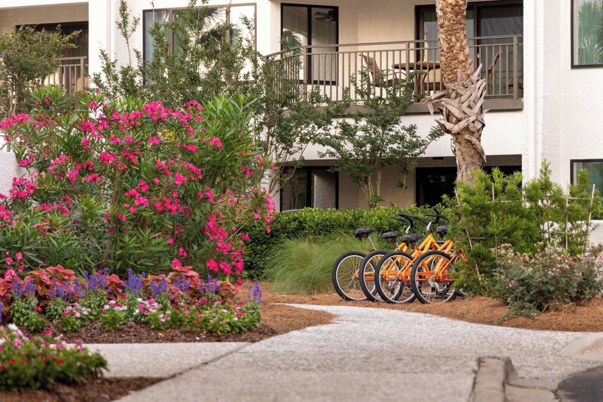 Une cour avec un vélo, un palmier et un immeuble doté de balcons.