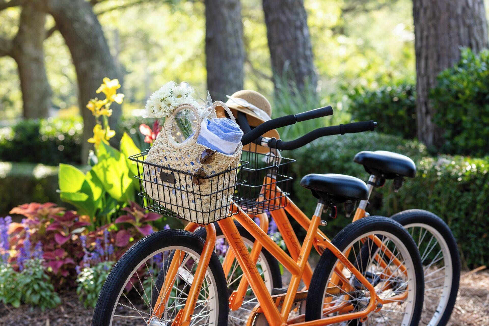 A bicycle with a basket containing a hat, a towel, and a small bag, parked in a garden with trees and flowers.