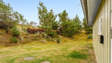 Une cour verdoyante avec des arbres, un bâtiment et un couvercle de regard d’égout.
