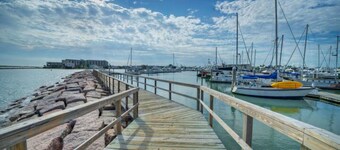 Dapper Dolphin by AvantStay | Pool, Game Room