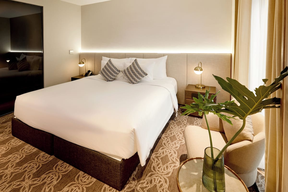A hotel room with a large bed, bedside lamps, a plant, and a modern design.