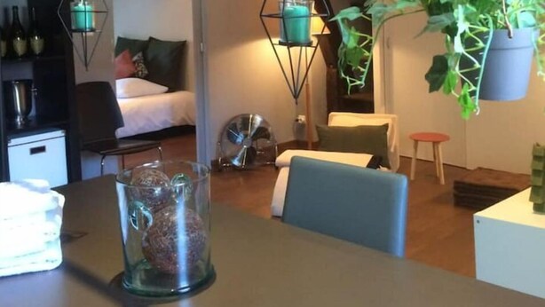 Un interior moderno con zona de comedor, cama y plantas colgantes.