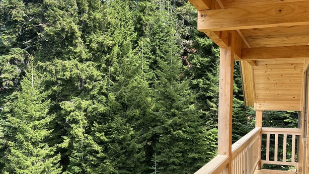 A wooden deck with a view of dense evergreen trees. - Bakhmaro (Bakhmaro)