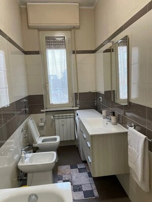 Shower, hair dryer, bidet, towels