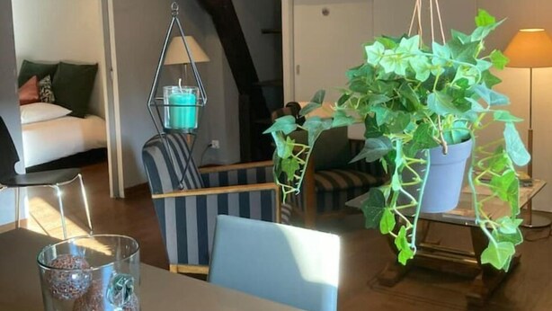 A cozy loft bedroom with a sloped ceiling, a hanging plant, a bed with pillows, and a bedside table with a glass container. - Le Grand Stanislas, 130 m2 Hypercentre 2/6 Pers (Nancy)
