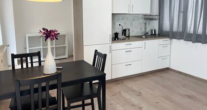 Apartment in the city center