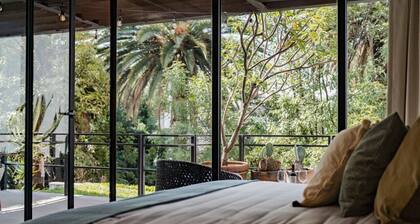 La Condesa Oasis: Big House, Beautiful Terrace