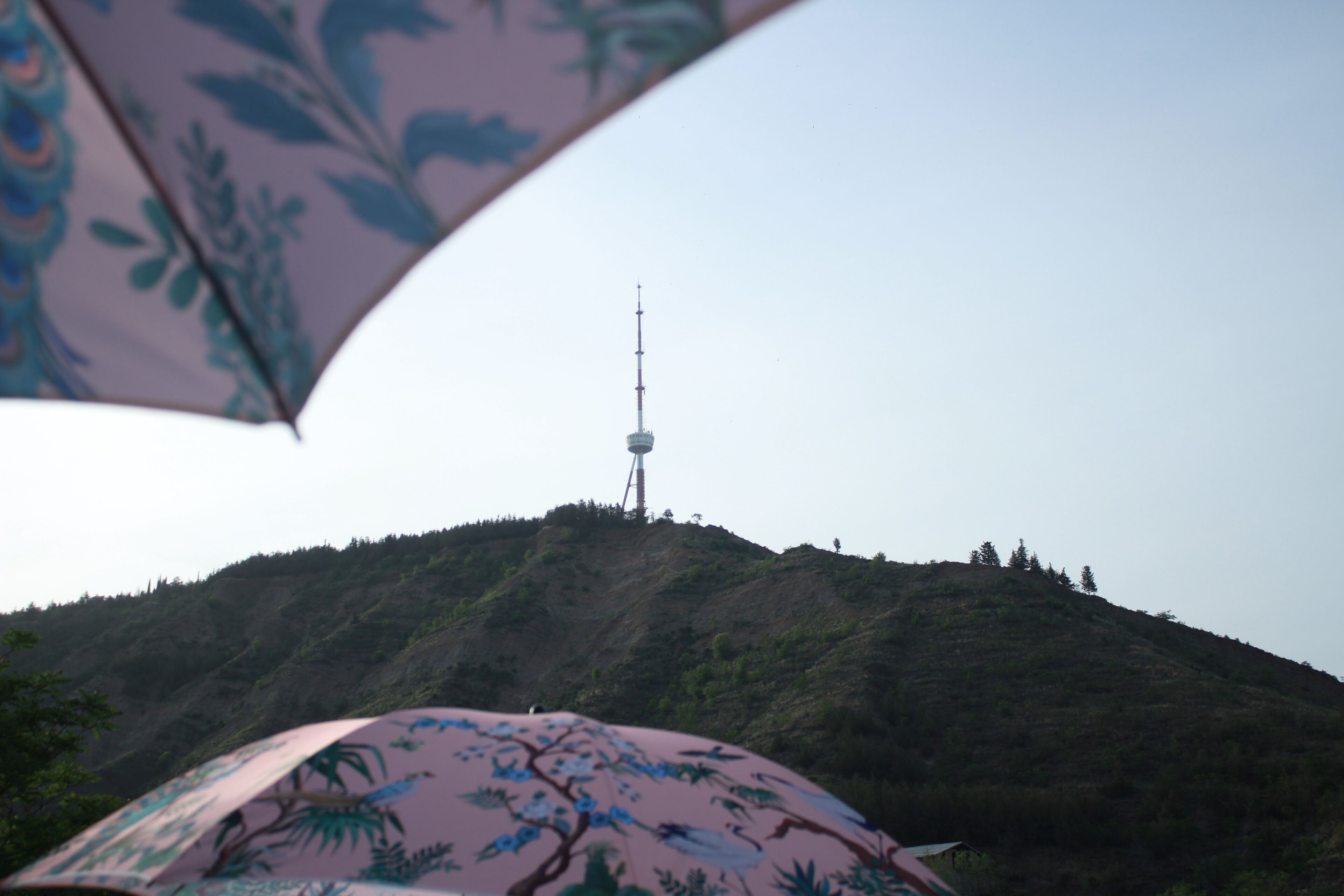 Foto - Margot Sololaki