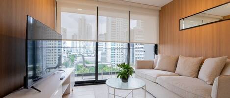 Fernseher, Arbeitsbereiche