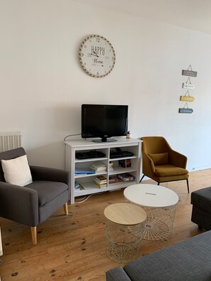 Téléviseur connecté, lecteur de DVD, livres
