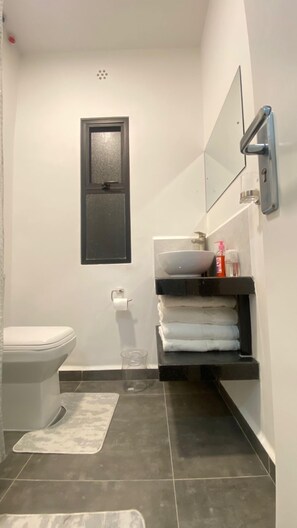 Regadera, secadora de cabello, toallas, jabón