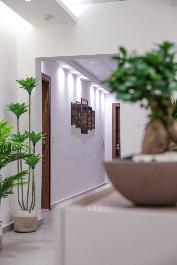 Exterior - Purple (Beirut)