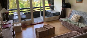 Estudio cabina 35m2 en Villard-de-Lans, balcón sur, 4-5 pers, parking, bus gratis.