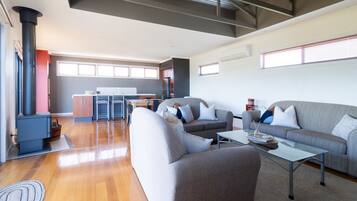 TV, fireplace, DVD player, books