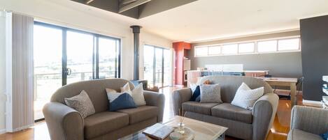 Télévision, cheminée, lecteur de DVD, livres