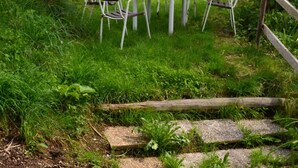 Un espace extérieur aménagé avec une table ronde et quatre chaises, entouré d’une végétation luxuriante.