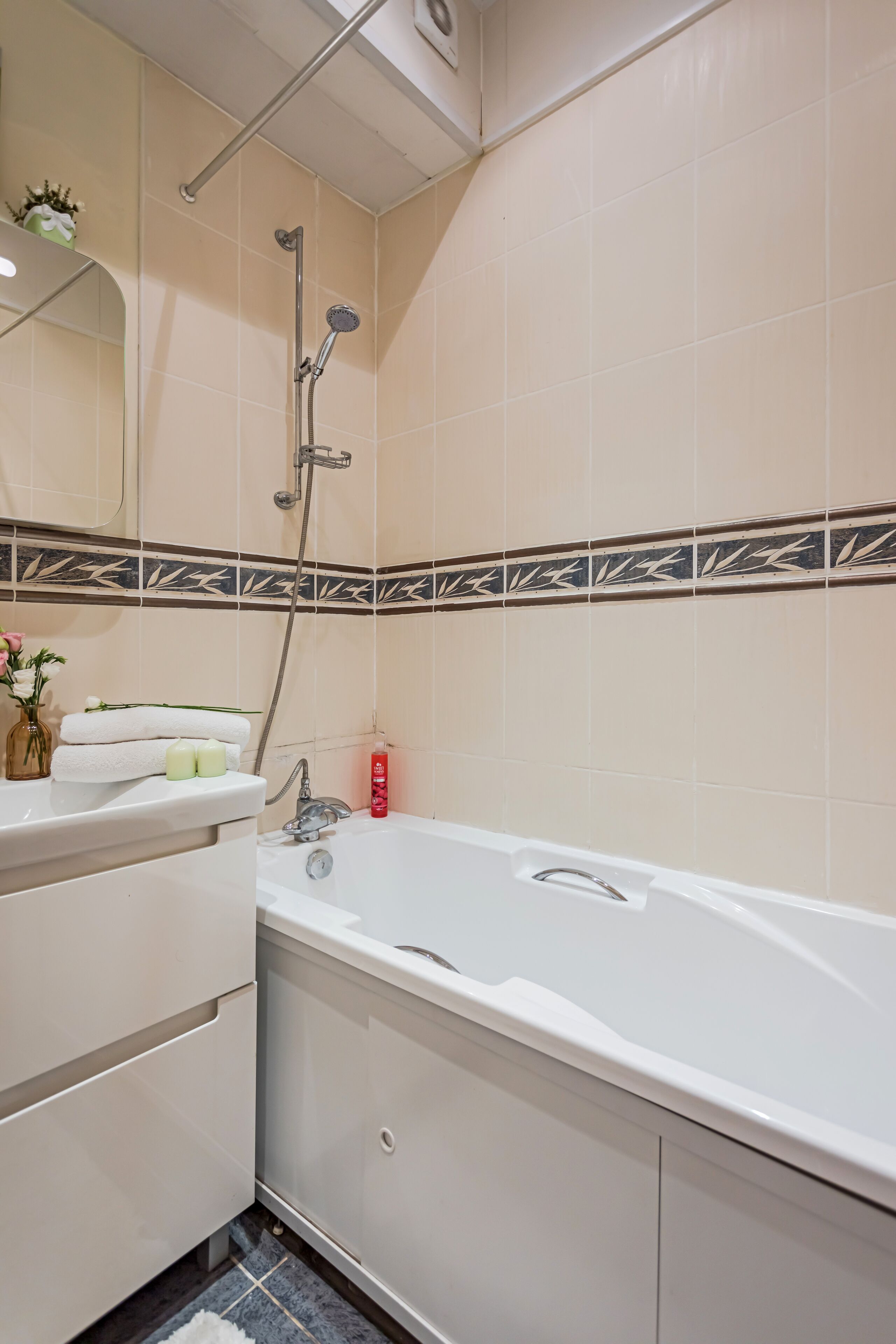 Business Apartment | Bathroom | Bathtub, hair dryer, towels, soap
