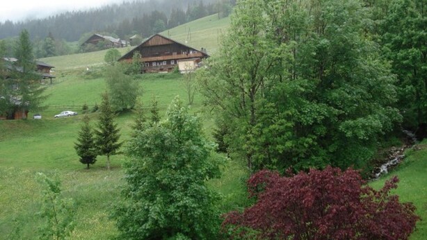 A rural landscape with a large wooden house surrounded by greenery and trees. - Apartment Châtel - 5 People, Near Slopes, Pets Allowed (Châtel)