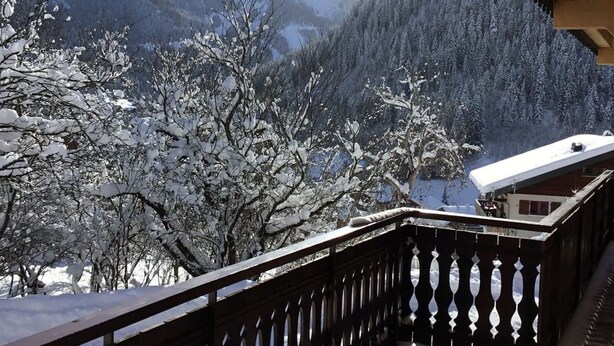 Un balcon en bois offrant une vue sur des arbres et des montagnes enneigés.