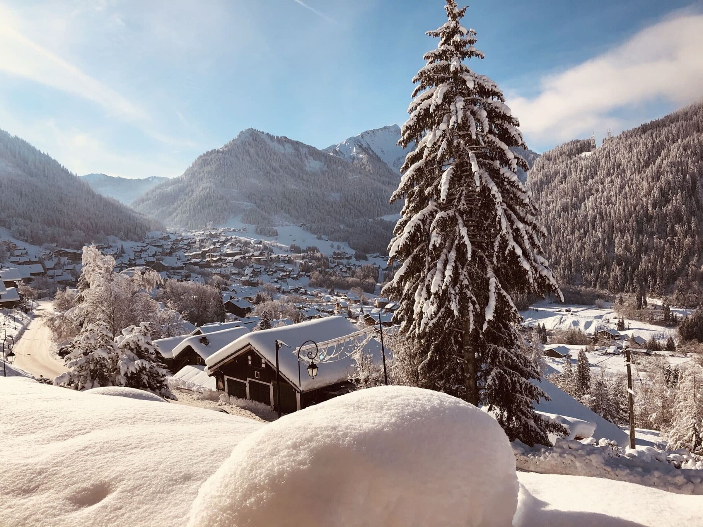 A snow-covered mountain village with houses and a prominent snow-covered tree.