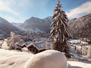 A snow-covered mountain village with houses and a prominent snow-covered tree. - 2-room apartment in Châtel, 5 people, with south-facing terrace (Châtel)