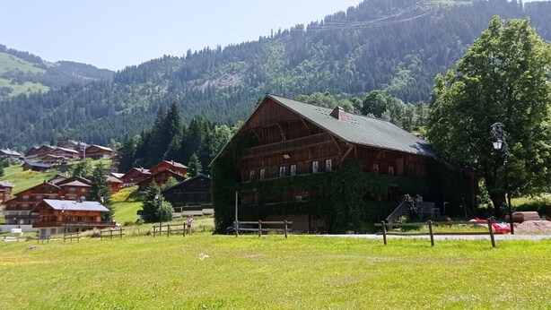 A wooden building with a sloped roof, surrounded by a grassy field and a forested mountain in the background.