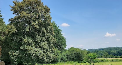 Grange rénovée tout confort pour 8 personnes, 3 chambres et 2 SDB,  avec piscine