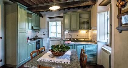 Farmhouse with Farm in the hills of Barga: Casa Chioi