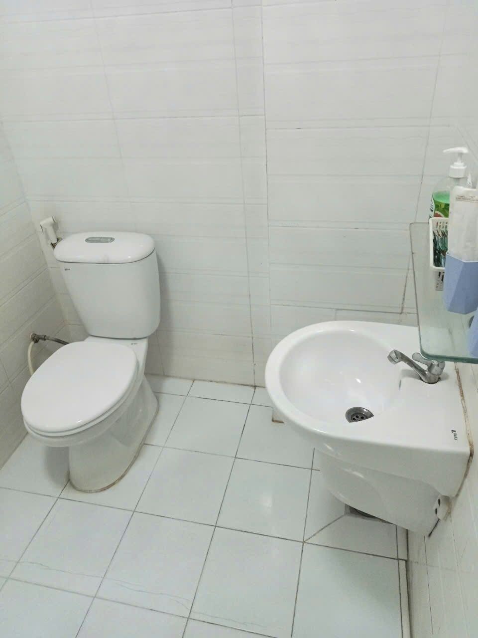 A bathroom with a toilet and a sink.