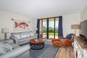 Televisión, reproductor de DVD, libros