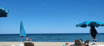 The Little Pink House