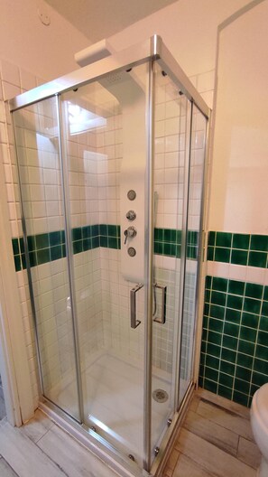 Regadera, secadora de cabello, bidet, toallas
