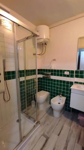Shower, hair dryer, bidet, towels